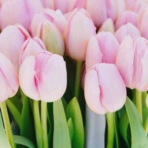 Meet your Posher, Dee